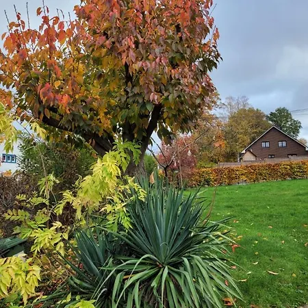 My House Дом отдыха *